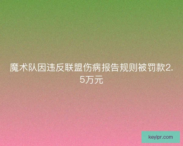 魔术队因违反联盟伤病报告规则被罚款2.5万元